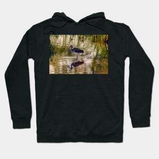 Immature White Ibis at Sunrise Hoodie